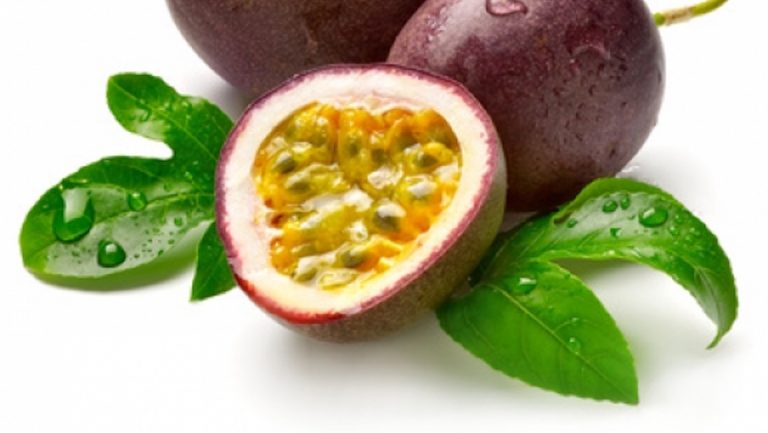 61 Fruit de la passion (12 mois)