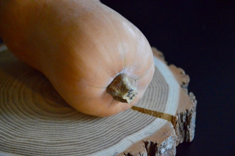 46 Courge butternut (Doubeurre) (6 mois)