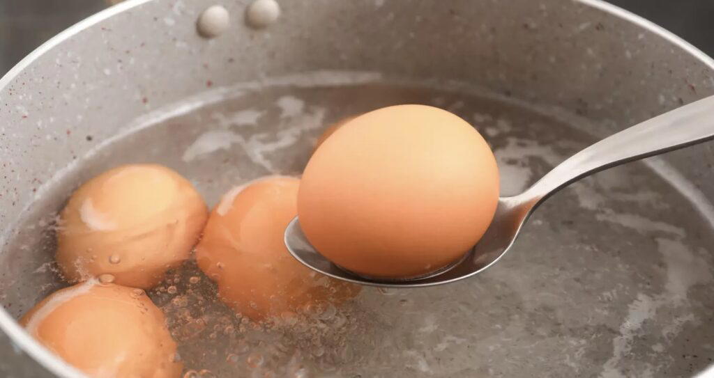 Cuisson des oeufs dans l'eau bouillante